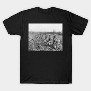 Harvest Season, 1906. Vintage Photo T-Shirt